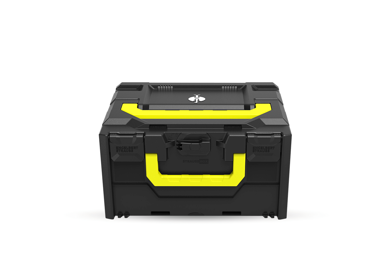 System STRAUSSbox: STRAUSSbox 215 midi Color + czarny