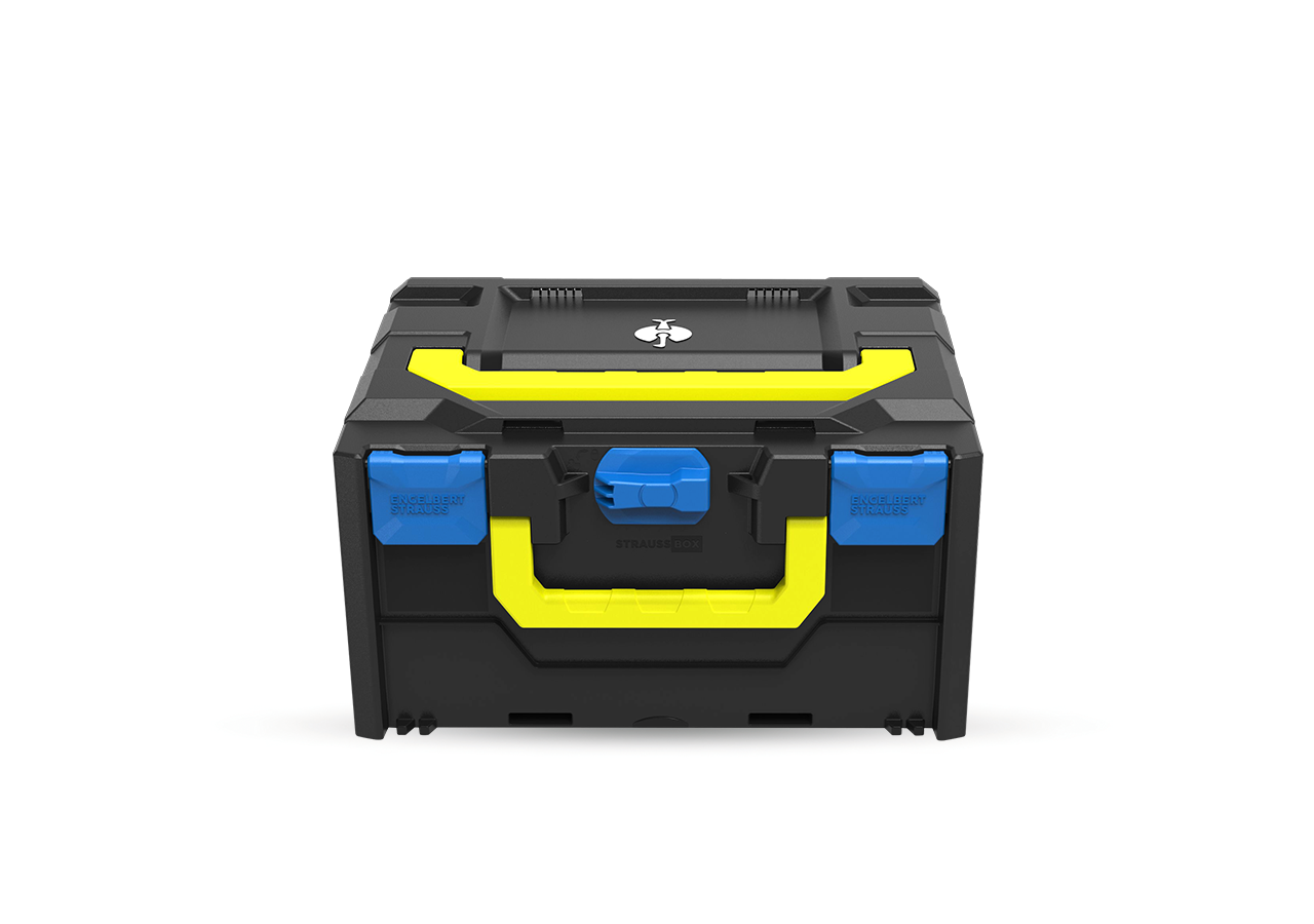 System STRAUSSbox: STRAUSSbox 215 midi Color + niebieski chagall