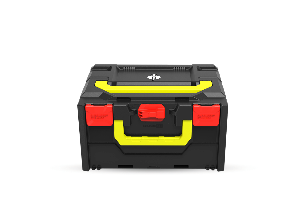 System STRAUSSbox: STRAUSSbox 215 midi Color + ognistoczerwony