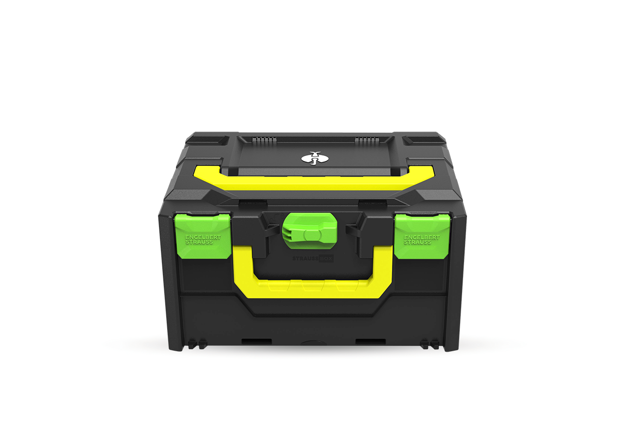 System STRAUSSbox: STRAUSSbox 215 midi Color + zielony morski