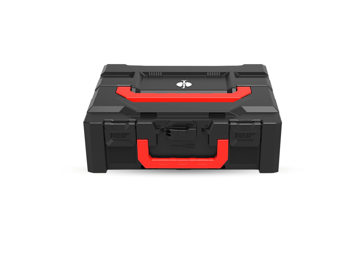 System STRAUSSbox: STRAUSSbox 145 midi+ Color + czarny