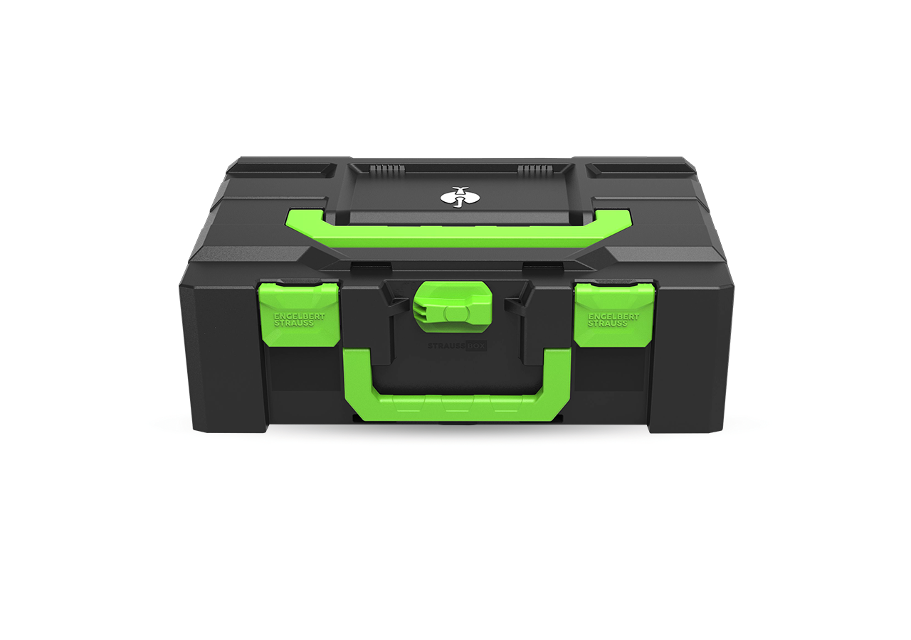 System STRAUSSbox: STRAUSSbox 165 large Color + zielony morski