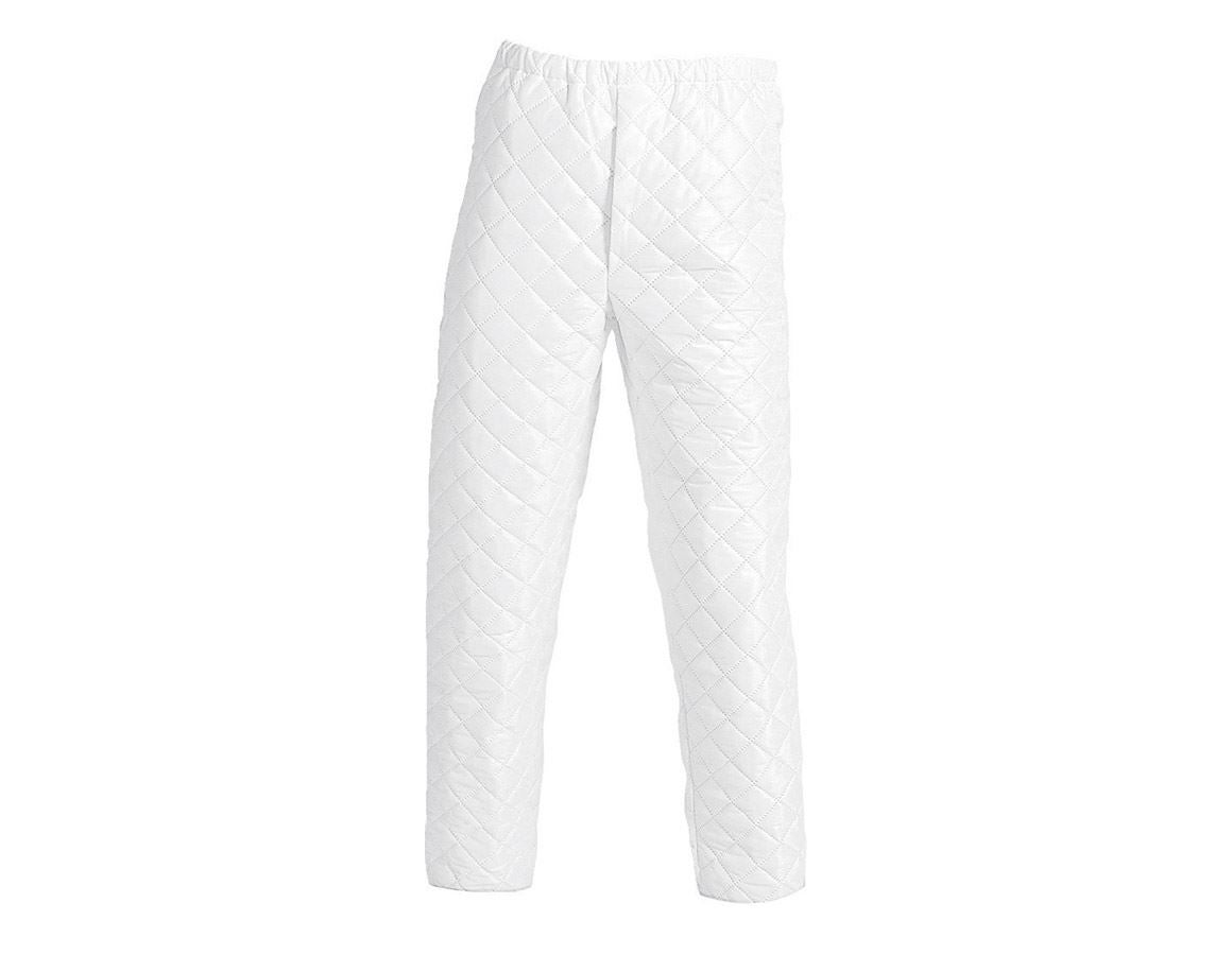 Bielizna | Odzież termoaktywna: Spodnie termiczne Rotterdam + biały
