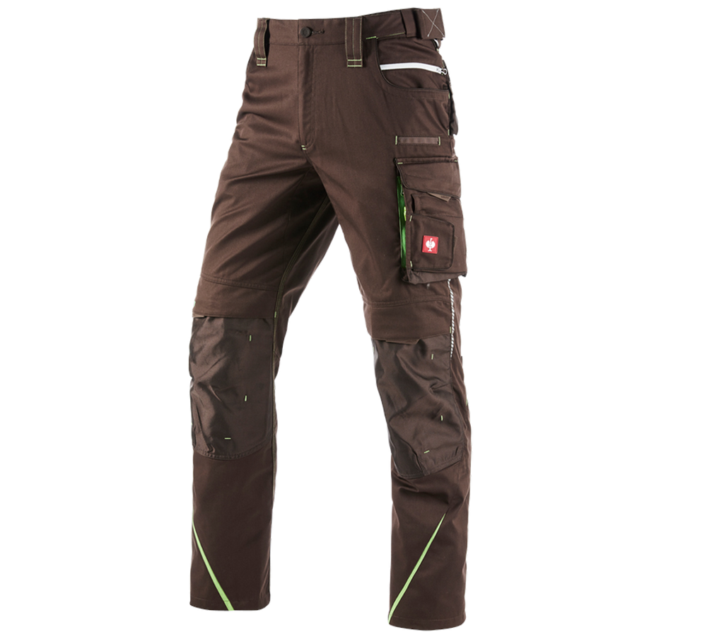 Spodnie robocze: Spodnie do pasa e.s.motion 2020 zimowe, męskie + kasztanowy/zielony morski
