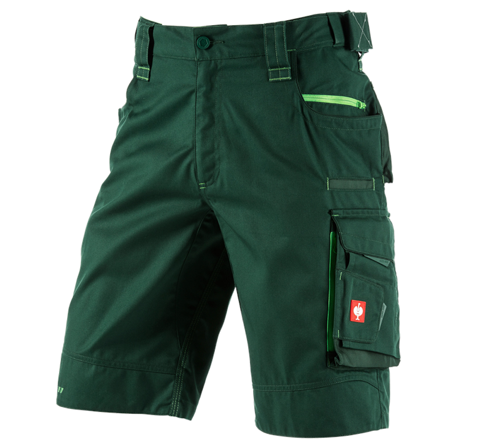Spodnie robocze: Szorty e.s.motion 2020 + zielony/zielony morski