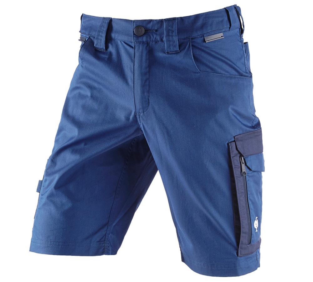 Spodnie robocze: Szorty e.s.concrete light + błękit alkaliczny/niebieski marine