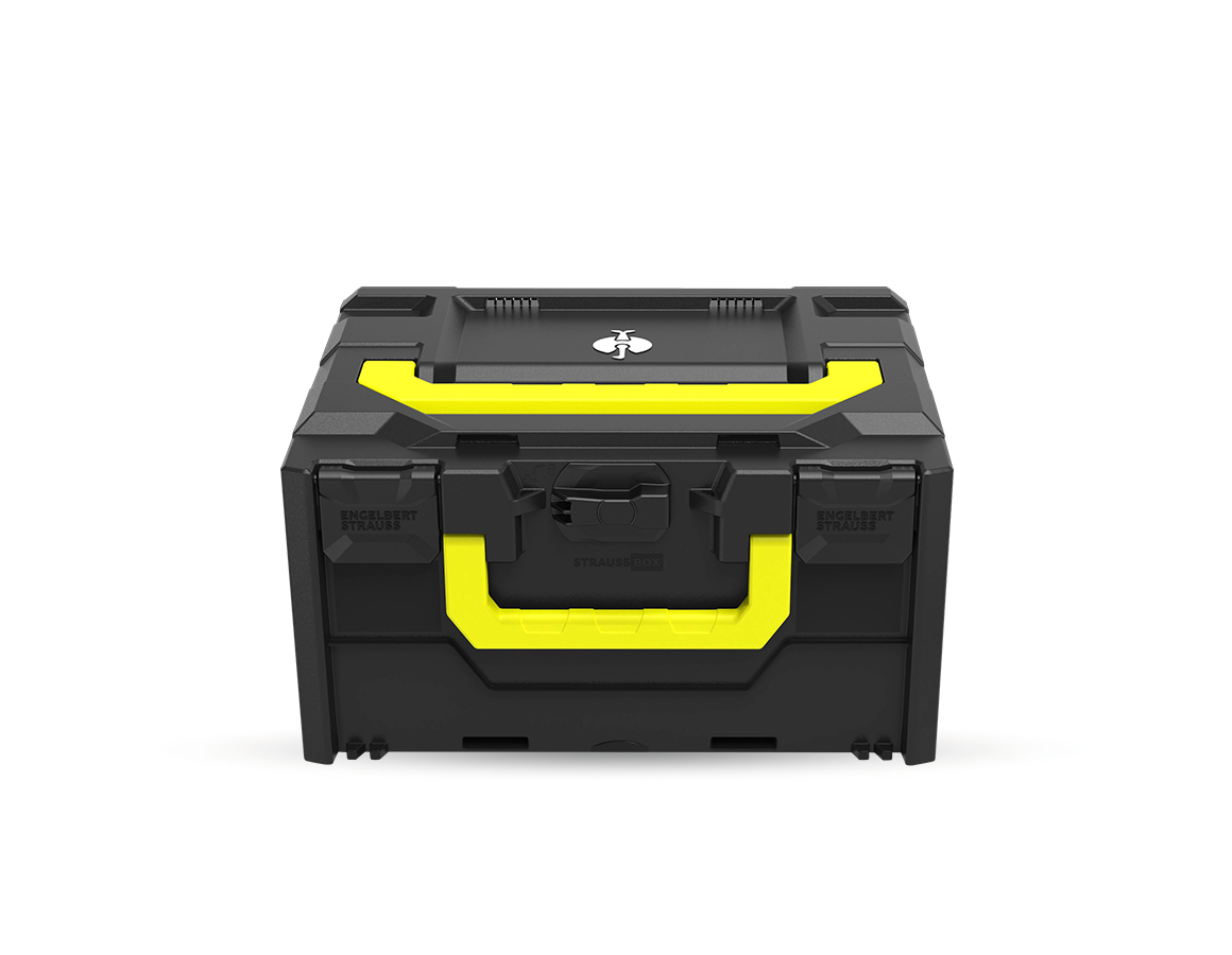 System STRAUSSbox: STRAUSSbox 215 midi Color + czarny