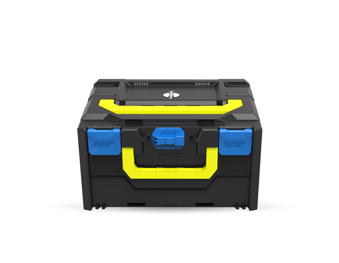 System STRAUSSbox: STRAUSSbox 215 midi Color + niebieski chagall