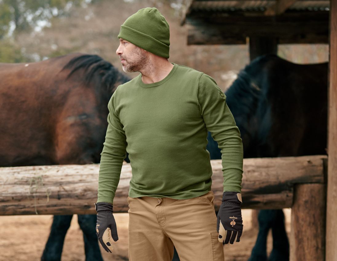 Koszulki | Pulower | Koszule: Sweter dzianinowy e.s.iconic + górska zieleń