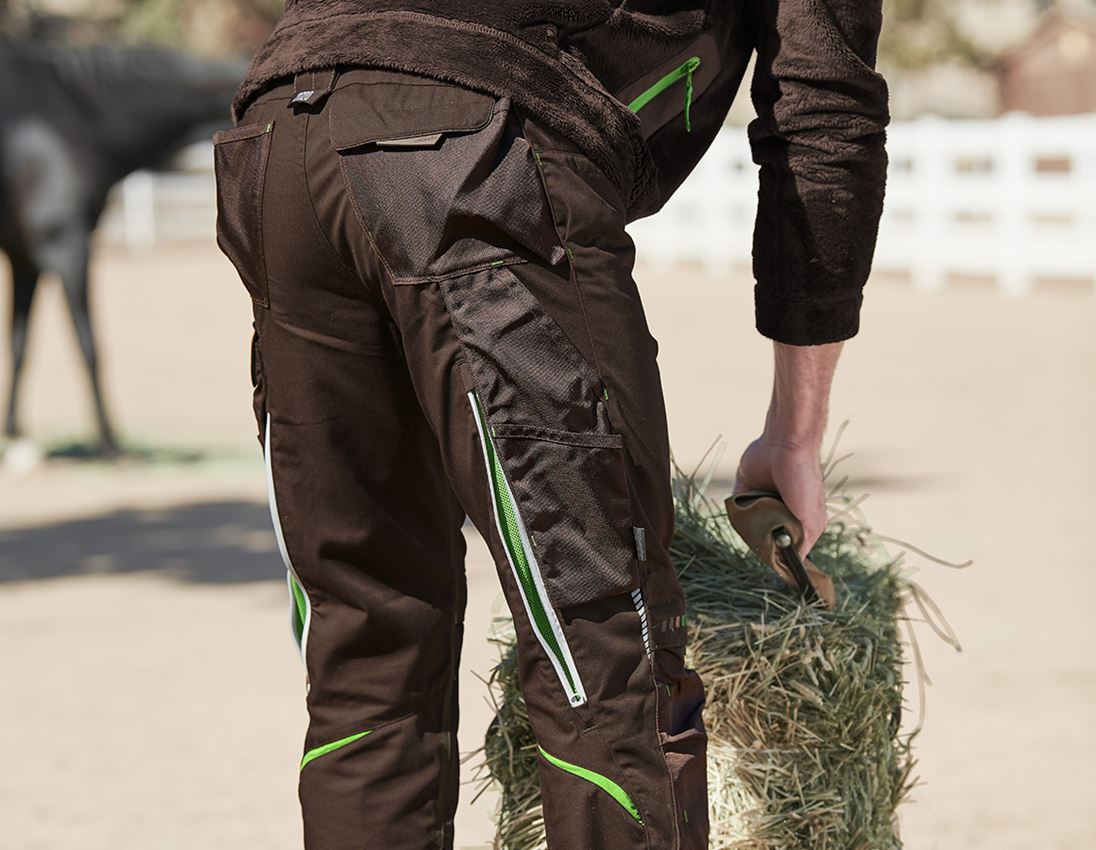 Spodnie robocze: Spodnie do pasa e.s.motion 2020 + kasztanowy/zielony morski 1