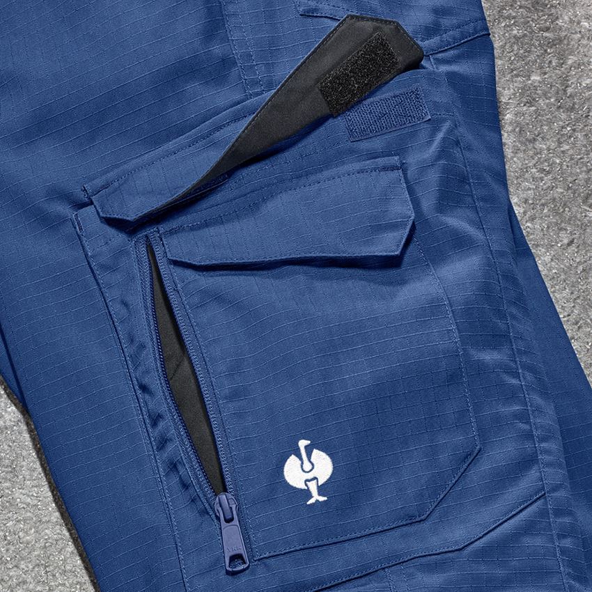 Spodnie robocze: Spodnie do pasa e.s.concrete solid, damskie + błękit alkaliczny 2
