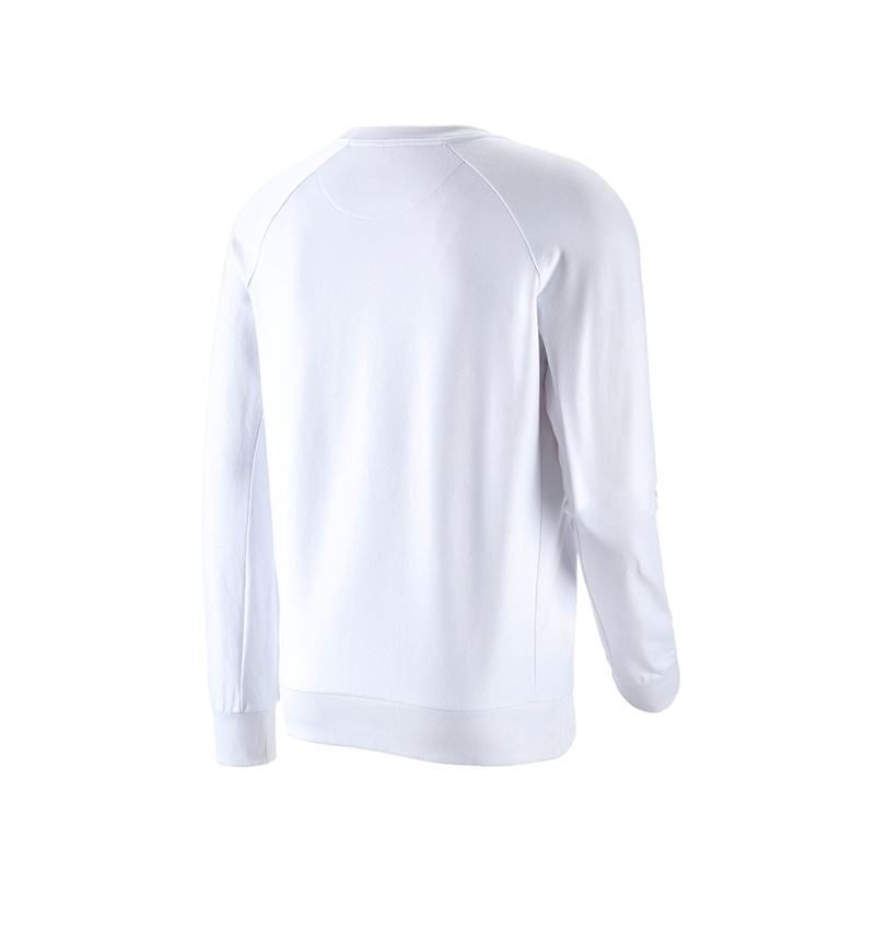 Koszulki | Pulower | Koszule: e.s. Bluza cotton stretch + biały 3