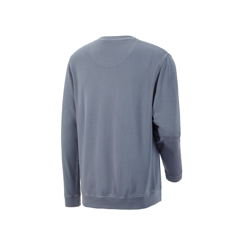 Koszulki | Pulower | Koszule: Bluza e.s.botanica + naturalny jasnoniebieski 3