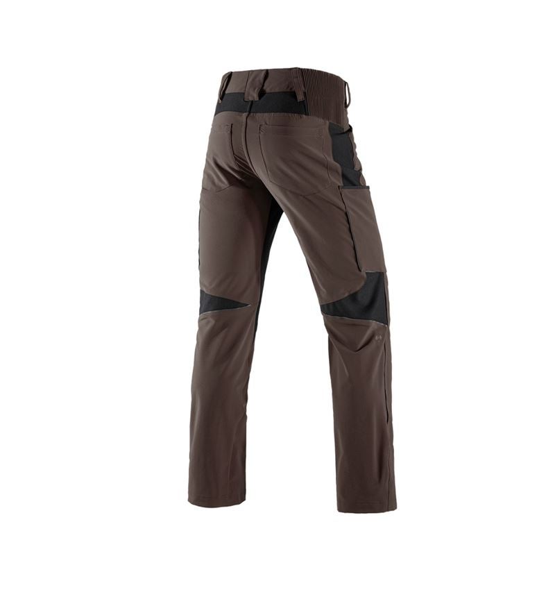 Spodnie robocze: Spodnie typu cargo e.s.vision stretch, męskie + kasztanowy/czarny 3