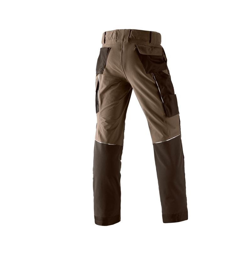 Spodnie robocze: Spodnie funkcyjne do pasa e.s.dynashield + orzech laskowy/kasztanowy 2