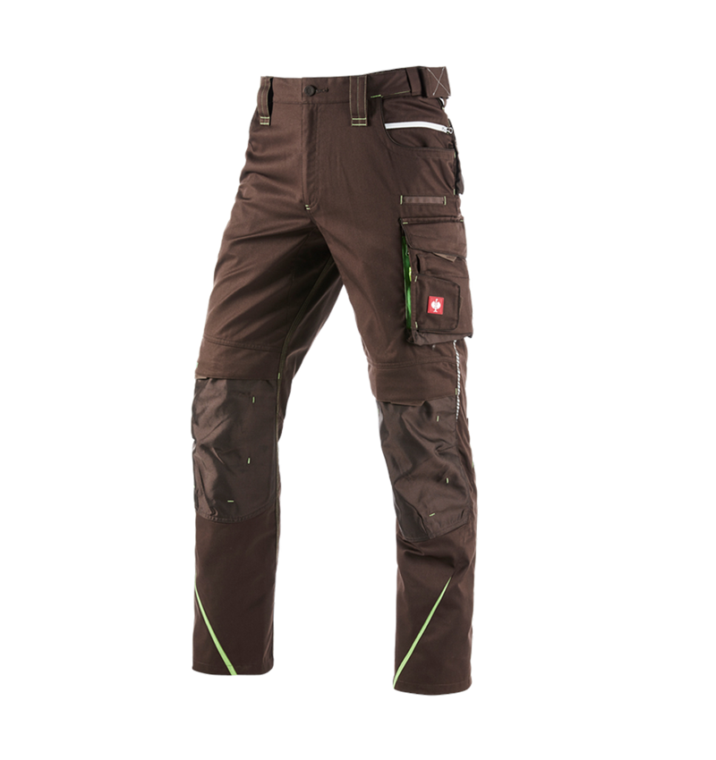 Spodnie robocze: Spodnie do pasa e.s.motion 2020 zimowe, męskie + kasztanowy/zielony morski 2