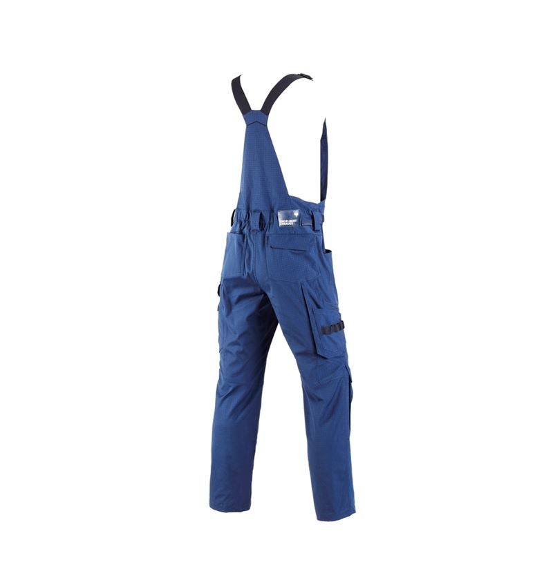 Spodnie robocze: Ogrodniczki e.s.concrete solid + błękit alkaliczny 3