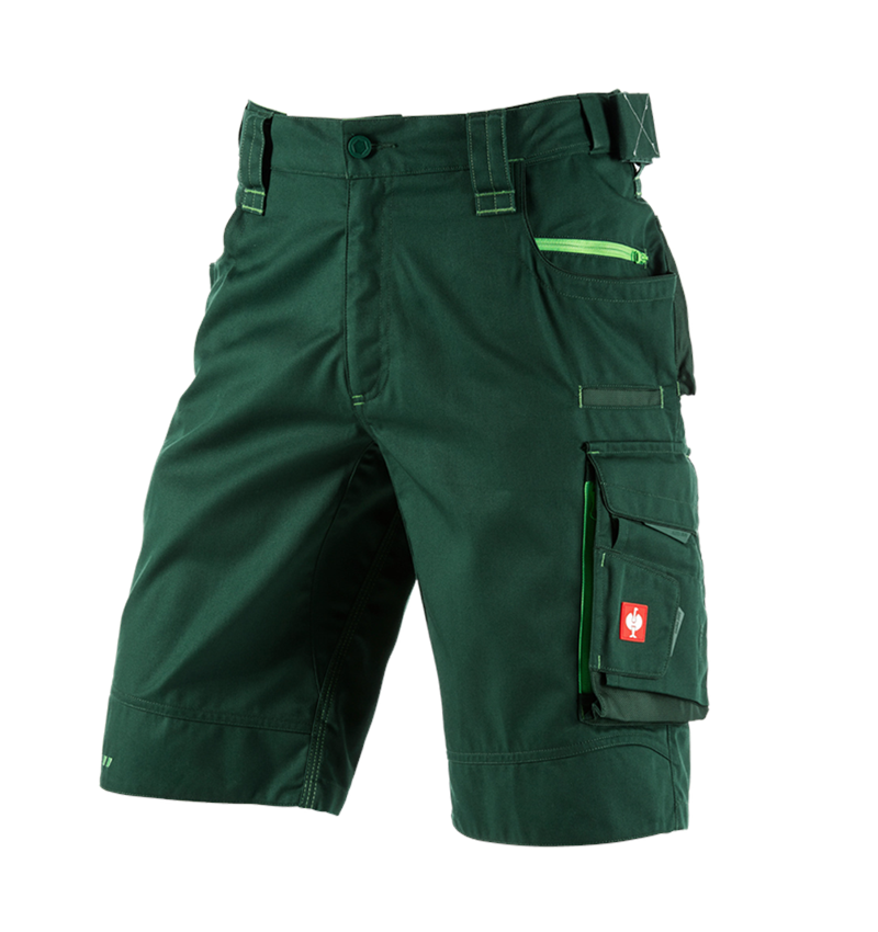 Spodnie robocze: Szorty e.s.motion 2020 + zielony/zielony morski 2