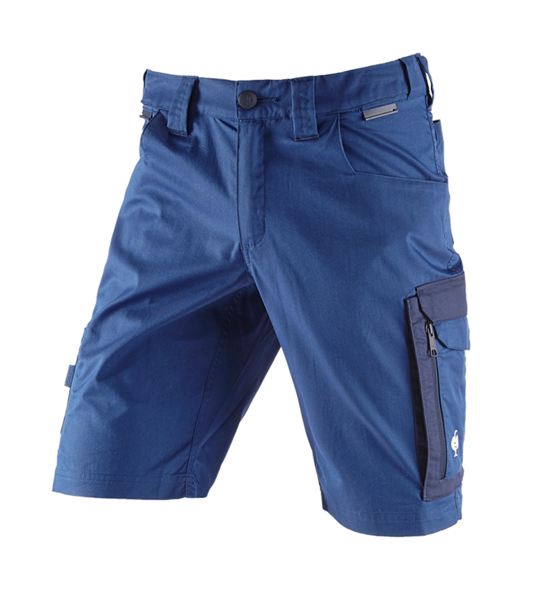 Spodnie robocze: Szorty e.s.concrete light + błękit alkaliczny/niebieski marine 3