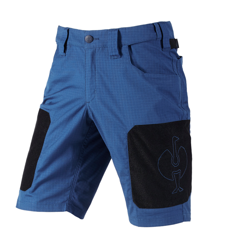 Spodnie robocze: Szorty e.s.tool concept + błękit alkaliczny 5