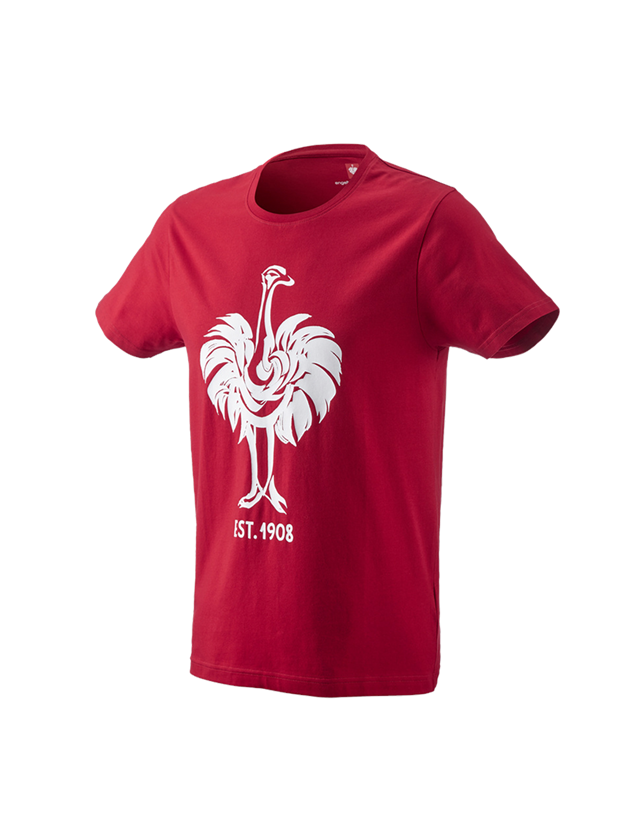 Koszulki | Pulower | Koszule: e.s. Koszulka 1908 + ognistoczerwony/biały 2