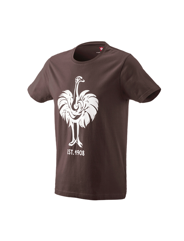 Koszulki | Pulower | Koszule: e.s. Koszulka 1908 + kasztanowy/biały 2