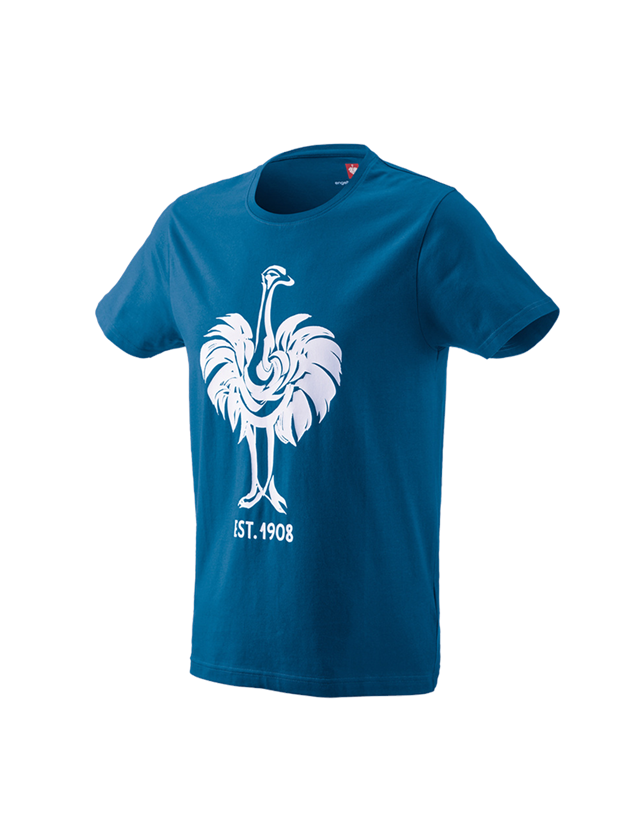 Koszulki | Pulower | Koszule: e.s. Koszulka 1908 + atol/biały 1