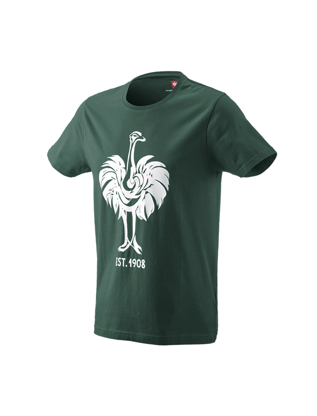 Tematy: e.s. Koszulka 1908 + zielony/biały
