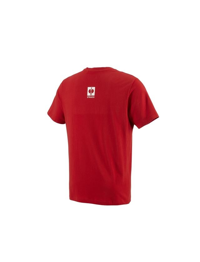 Koszulki | Pulower | Koszule: e.s.pop up t-shirt katowice + strauss czerwony 1