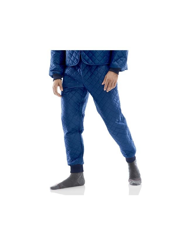 Bielizna | Odzież termoaktywna: Spodnie termiczne + niebieski marine